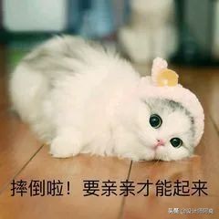 看哭了，别人家的阳台，咋铺都好看