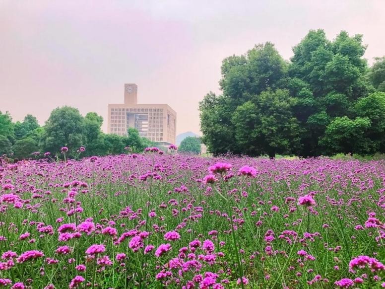 国家支持、人才缺口大！这些“热门”文科专业一定要了解！