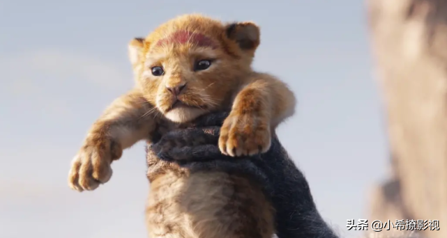 许多人反对翻拍《狮子王》，为何导演还能表示兴奋制作这部电影？