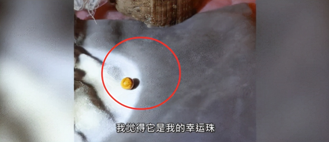 安徽女子吃到“天价”海螺珠，概率仅0.002%，卖5万块钱亏不亏？