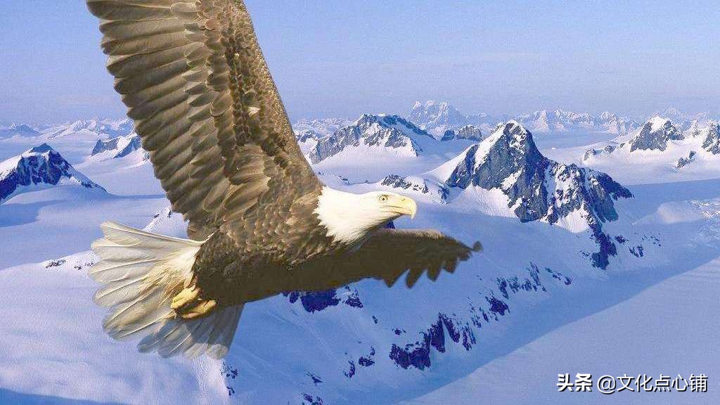 李白生平最狂的一首诗，一开篇就极具震撼力，令人读来直呼过瘾