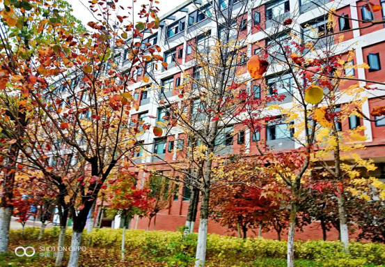 贵州大学图书馆官网（印象大学）