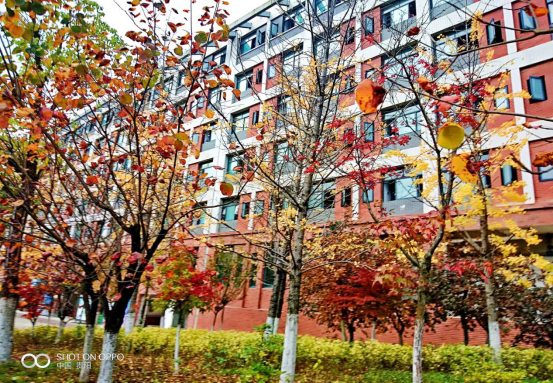 印象大学‖贵州大学