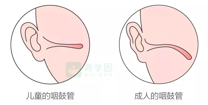 耳屎能不能掏？耳朵进水怎么办？保护宝宝听力，先做到这5点！