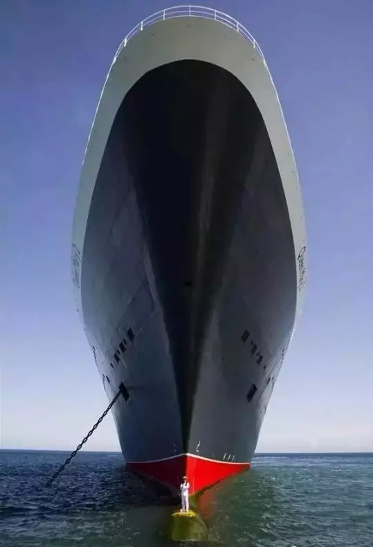 密集恐惧症图片测试图(密集恐惧症图片测试图) -情感知识库-动动脑