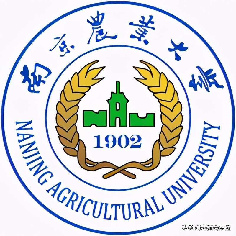 汪玥（女），南京农业大学助理研究员，动物繁殖专家