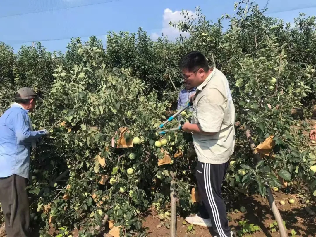 农大人的身影在前，我们“豫”难而上