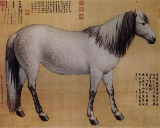 中国古今名家笔下的骏马，纵横驰骋