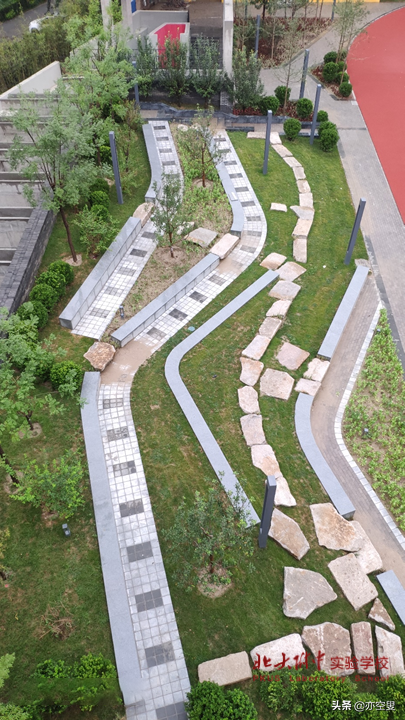 开始招生！北大附中实验学校2020年招生通知