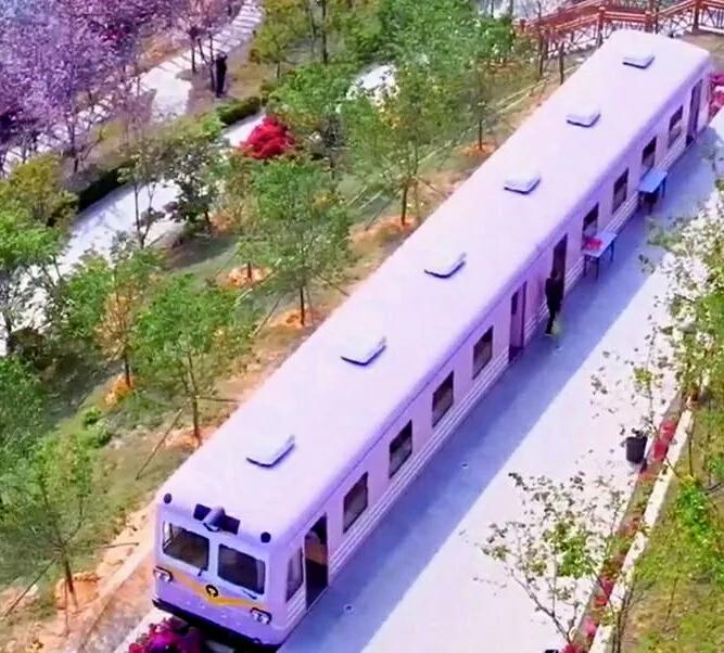 深圳10个免费特色花海公园，人少景美地铁直达，知道的人不多
