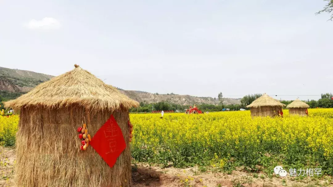 乡村旅游 | 枹罕镇金色农庄生态游:“赏花潮”带动“经济热”