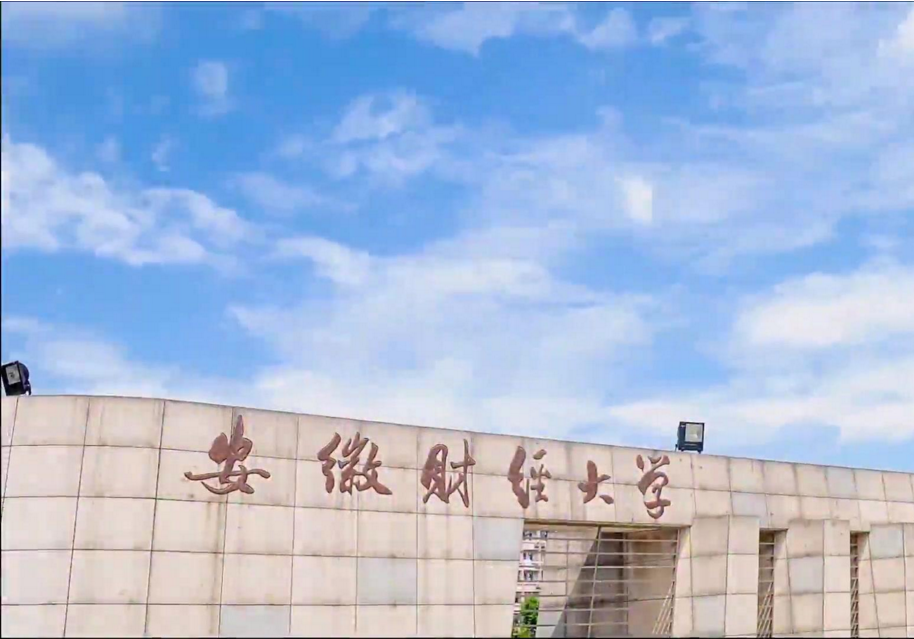 安徽省迎来“好消息”，110个本科专业，成功入选“国家一流”