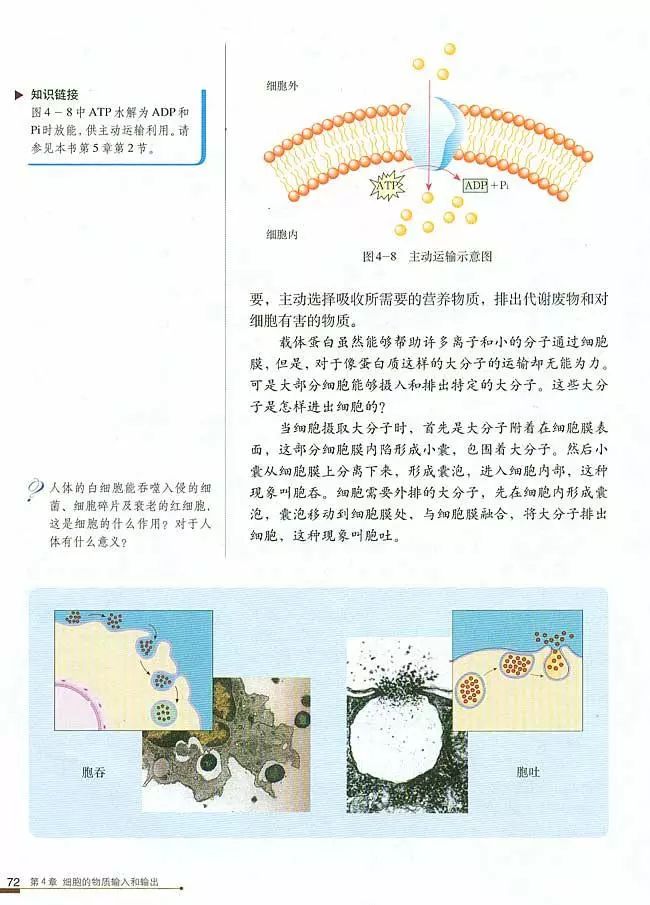人教版高中生物（必修1）电子课本（高清版）