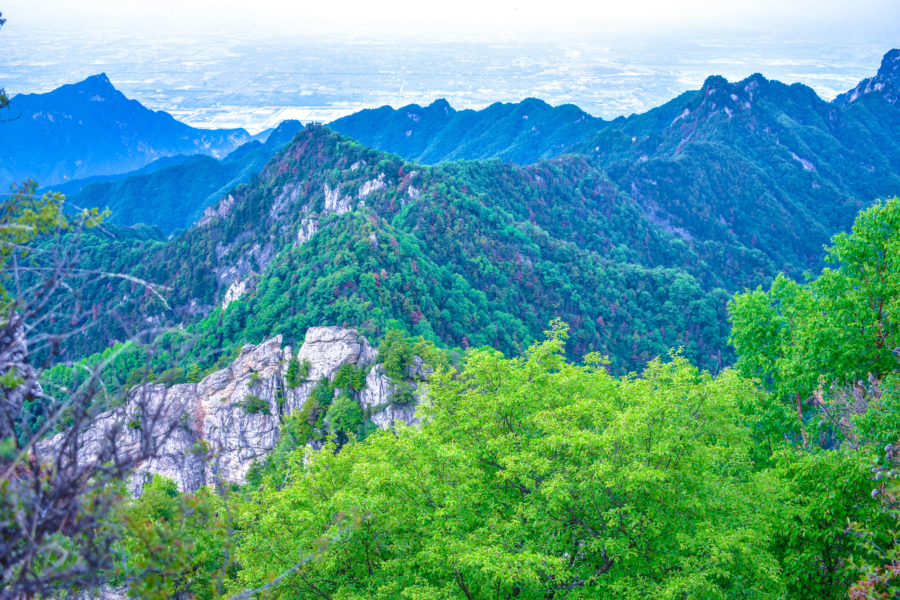 乡土散文:秦岭苍苍 渭水泱泱