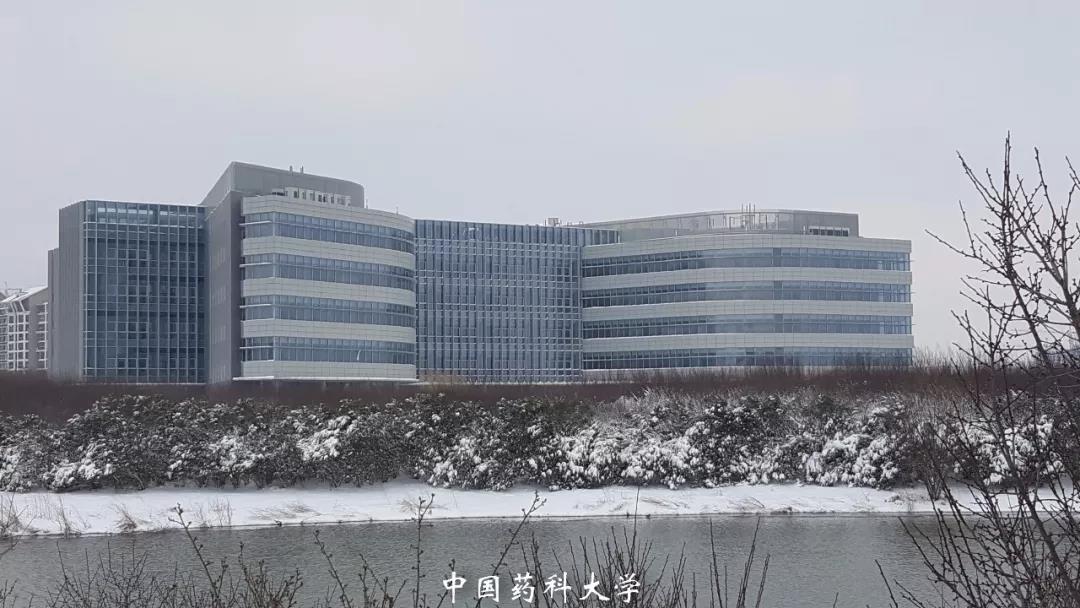 中国药科大学图书馆(南京)
