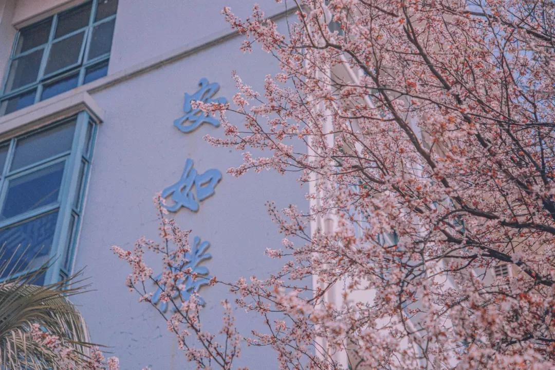 江苏省高校（六十六）苏州大学应用技术学院