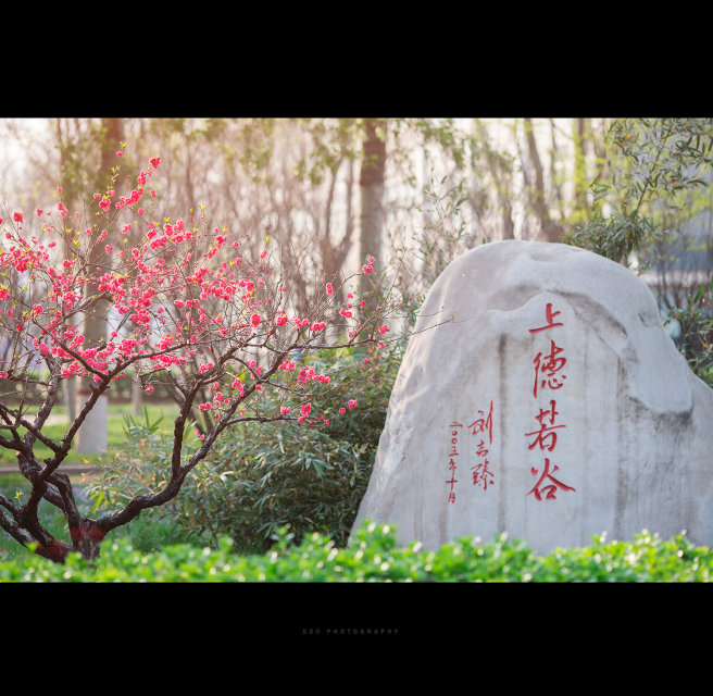华北电力大学（保定）河南河北各批次投档情况