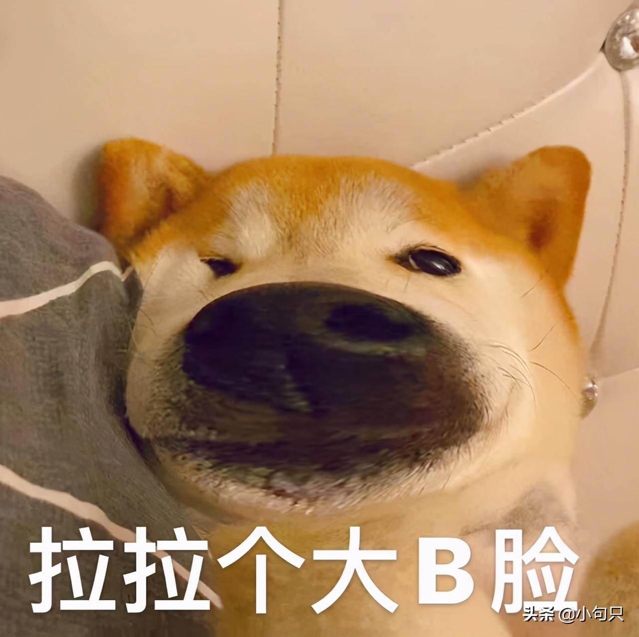 发空间说说的文案可爱