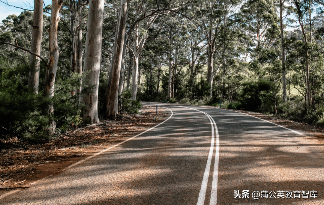 满意度超95%的学校IT服务中心，是怎么架构和运作的？