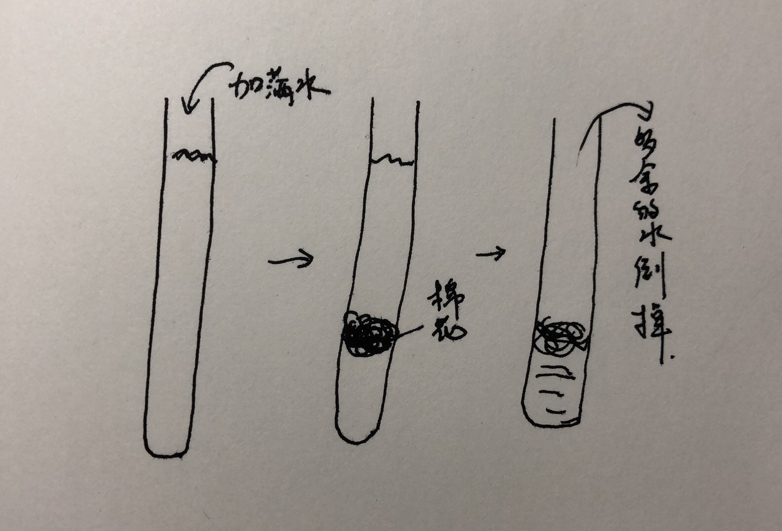 再谈宠物蚂蚁，这次详细说说关于人工蚁巢的那些事