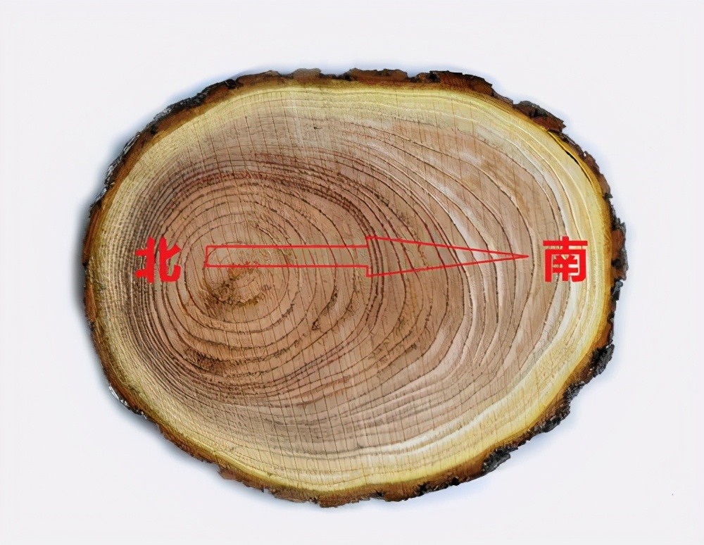 岩石辨别方向找一块醒目的岩石来观察,岩石上布满青苔的一面是北侧