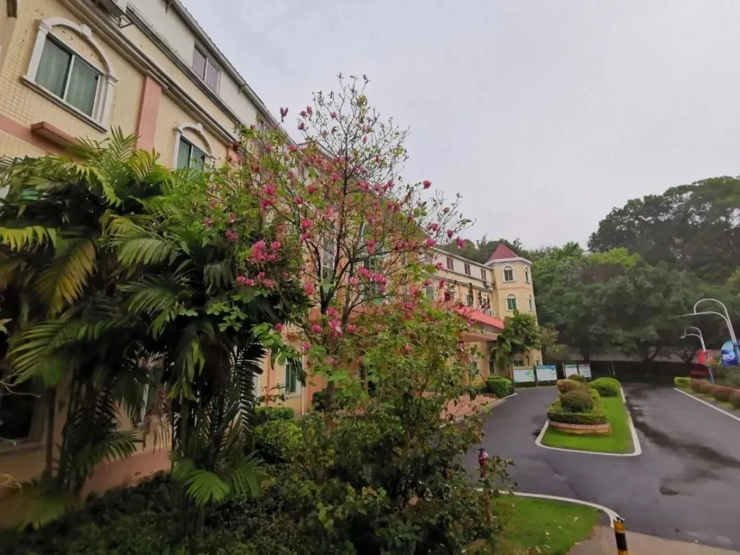 小编找了些涉外的硬货，希望能帮到3+证书补录的你｜广州涉外学院