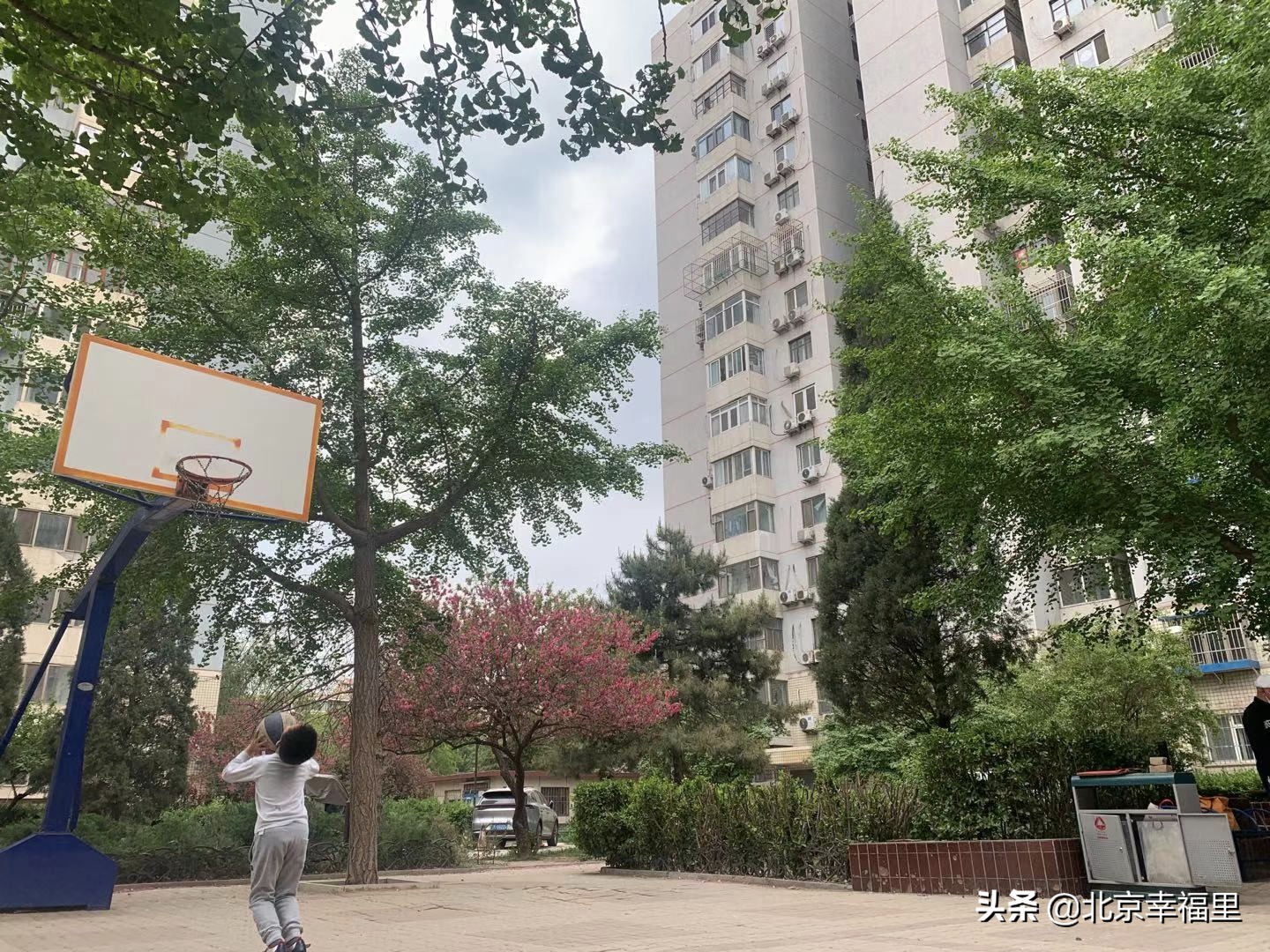 上车望京并不难！165万入住成熟社区吃喝玩乐俱全