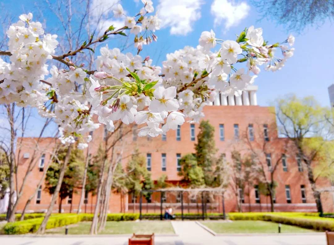 北京“宝藏女孩”：同时被北京大学3个学院录取，3年连获国家特等奖学金！