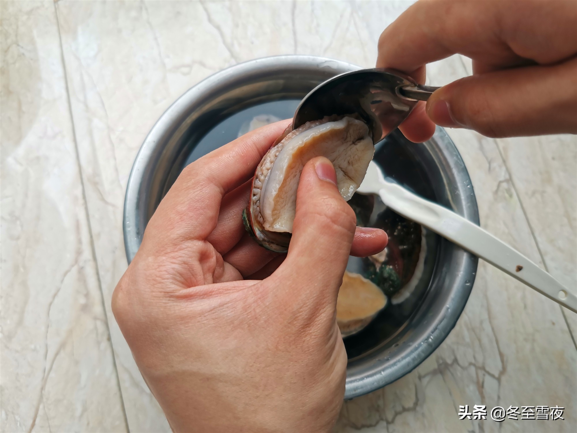 鮑魚的做法及清洗,鮑魚的做法及清洗視頻