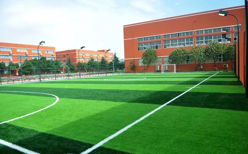 据说，这是全温州最好的十所小学！