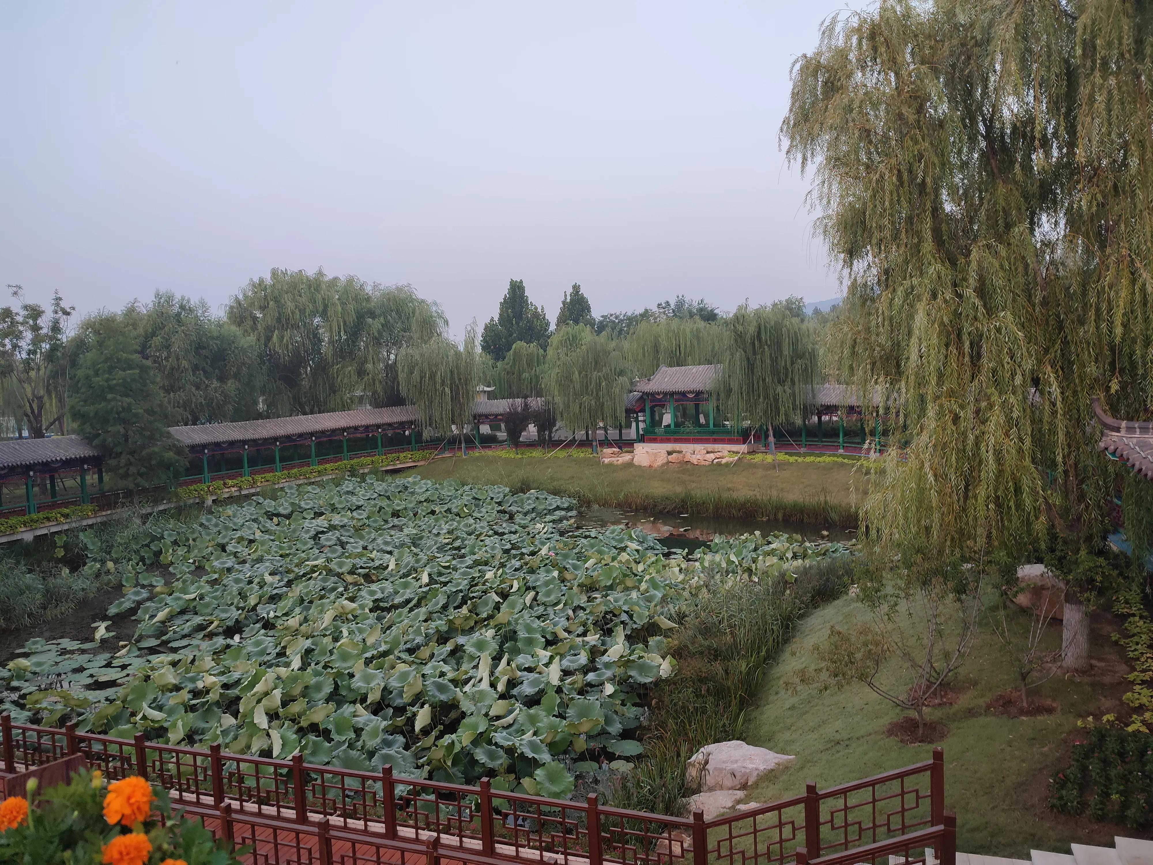 登录查看大图