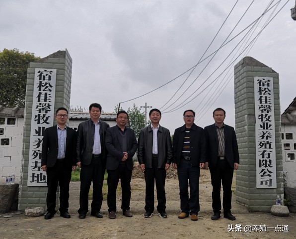 吴金节，安徽农业大学教授、博导，临床兽医学学科负责人