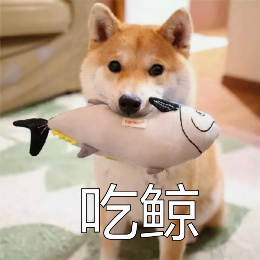 牙疼不是“病”？疼起来真要命！记住这一点，比任何治疗都管用