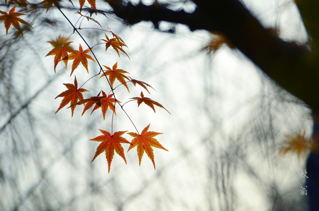 散文：遇见秋天，希望遇见的都是美好