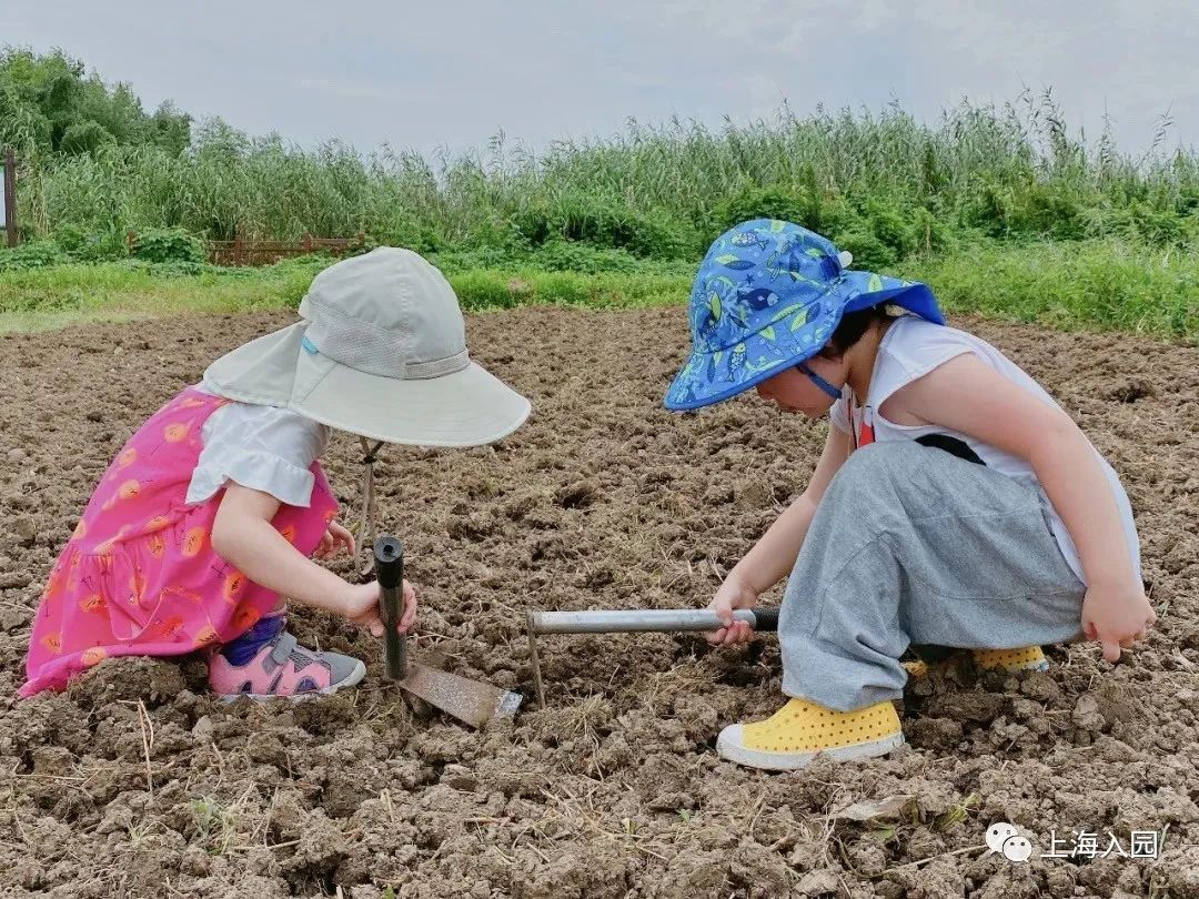 上海这所“迷你”蒙氏托育园，老师都是海归硕士！还特色艺术课程