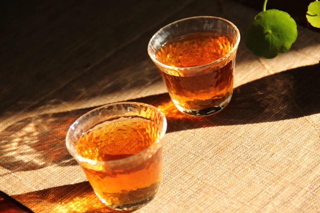 滇红是什么茶类（茶性及茶种详解）