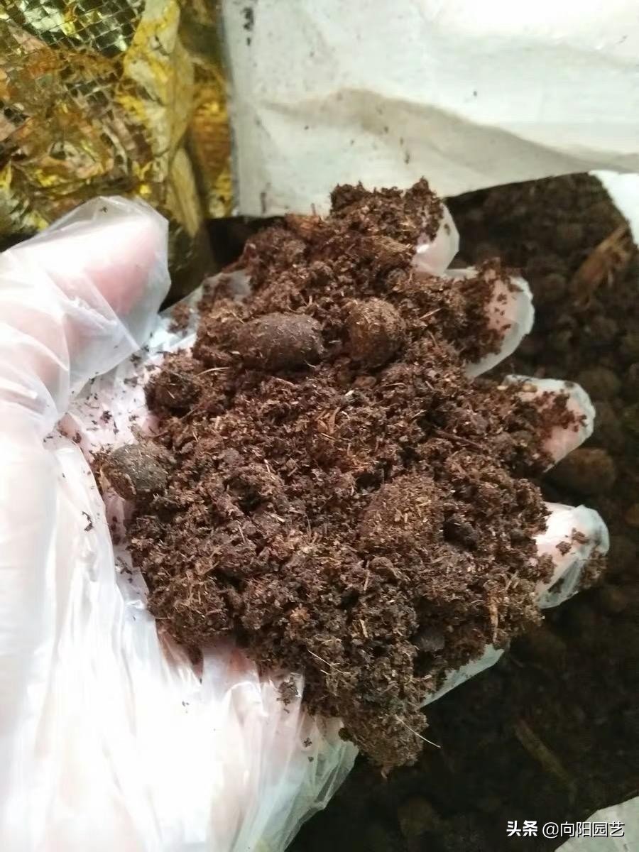 肥料的種類,肥料的種類和作用