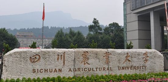 曾经的“冷门”，如今“最具潜力”，这个专业前十的院校都在这里了