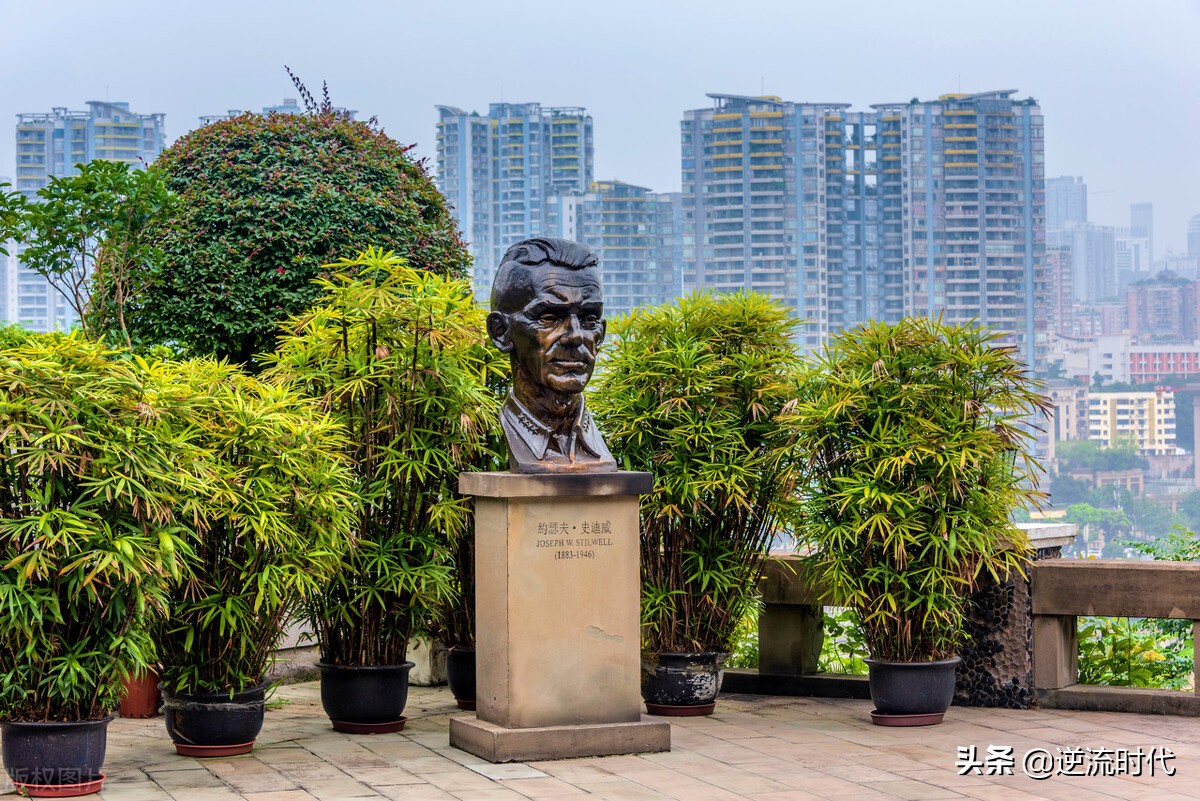 重庆医学院（重大医学院并入华西后）