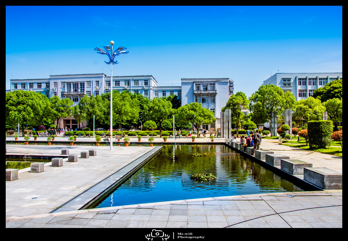 2021年高考文化453分美术统考337分，能报考的大学有哪些？