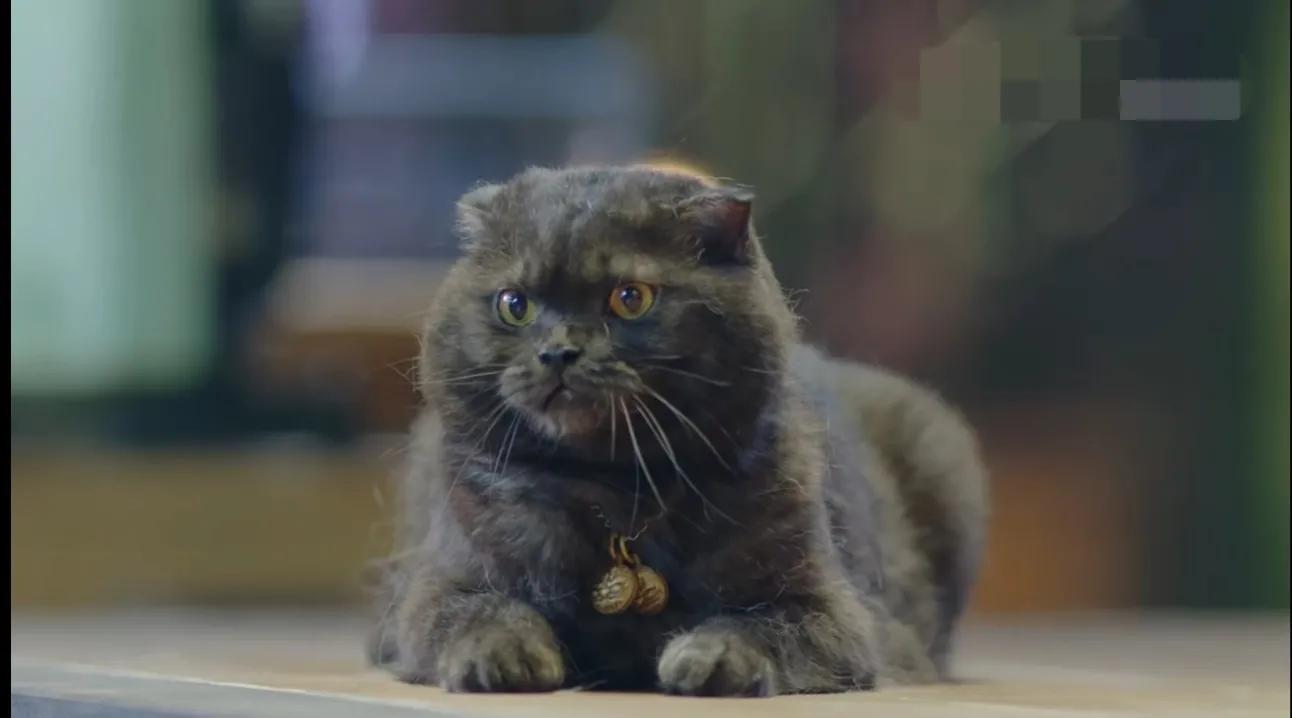 《镇魂》原著：胆小如鼠的郭长城，默默积累了拯救世界的大功德