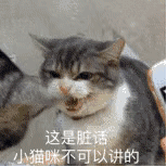 深圳教师26万年薪？全清华北大？那是因为你不了解内幕