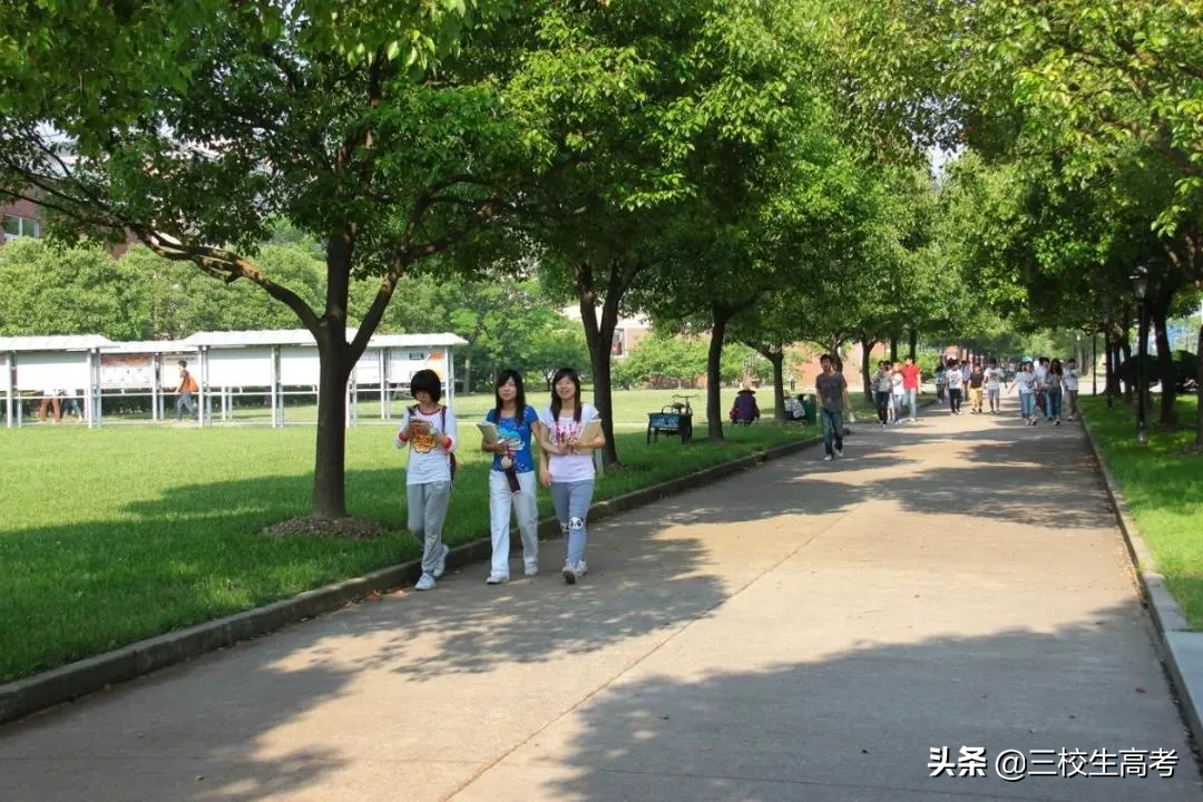 报考上海立达学院专升本，竟然还有免费游学大礼包