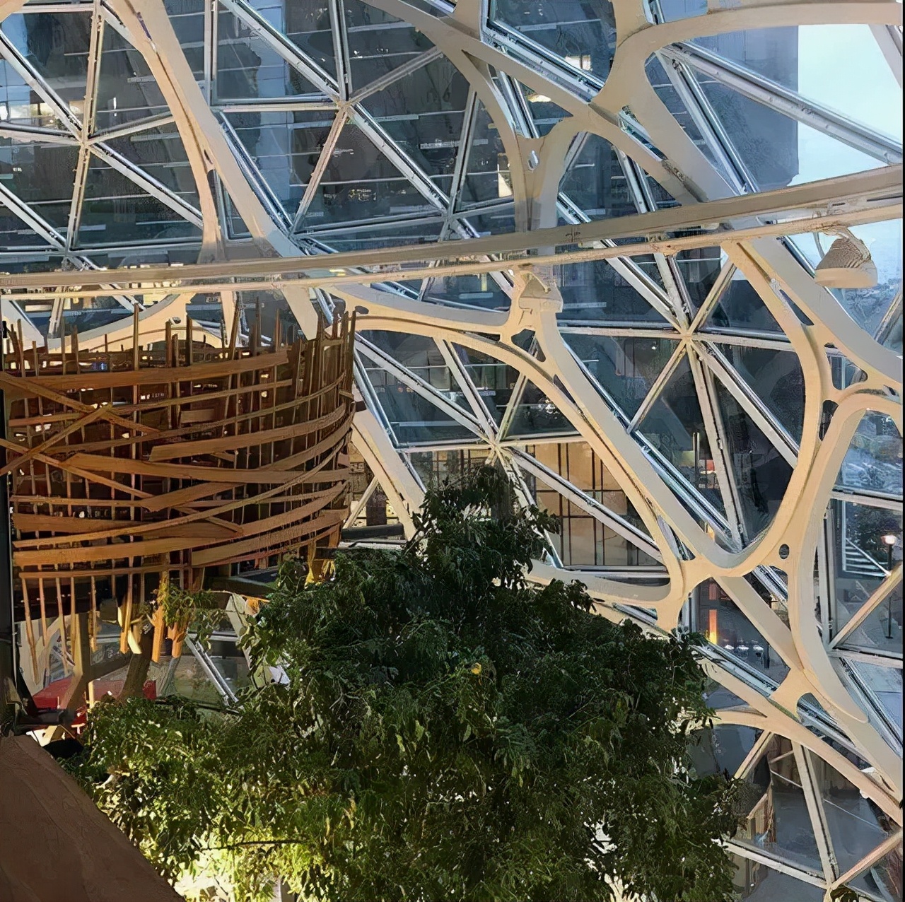 别人的办公室总是不会让我失望！这里工作太爽了