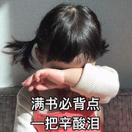 罗熙表情包背书系列|满书必背点,一把辛酸泪