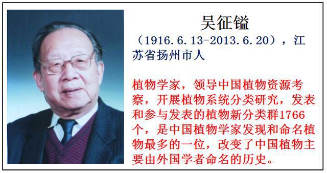 谁说清华北大不出人才？2020年最高科技出炉，20年来清北校友最多