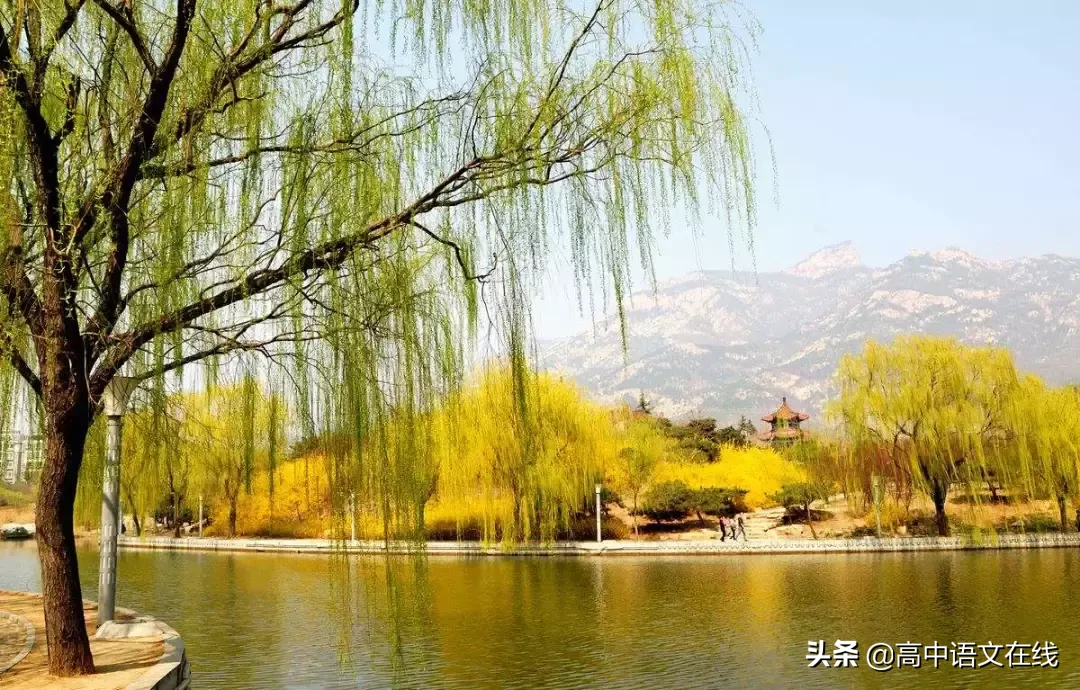 詠柳詩詞大全 ‖ 沾衣欲溼杏花雨,吹面不寒楊柳風.