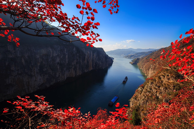 三峡红叶