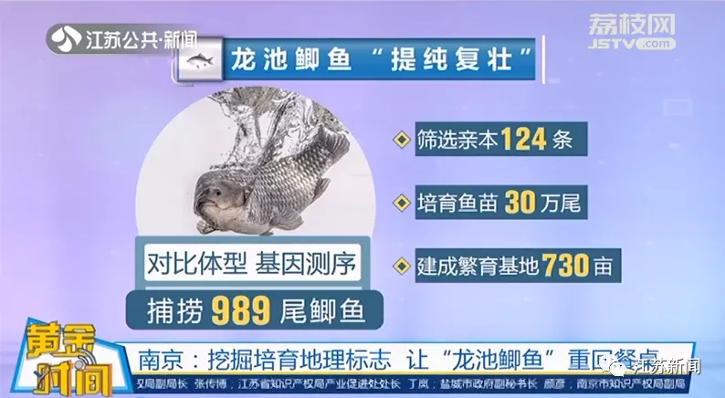 江苏特产“金字招牌”有哪些？认准这个标志！丨黄金时间