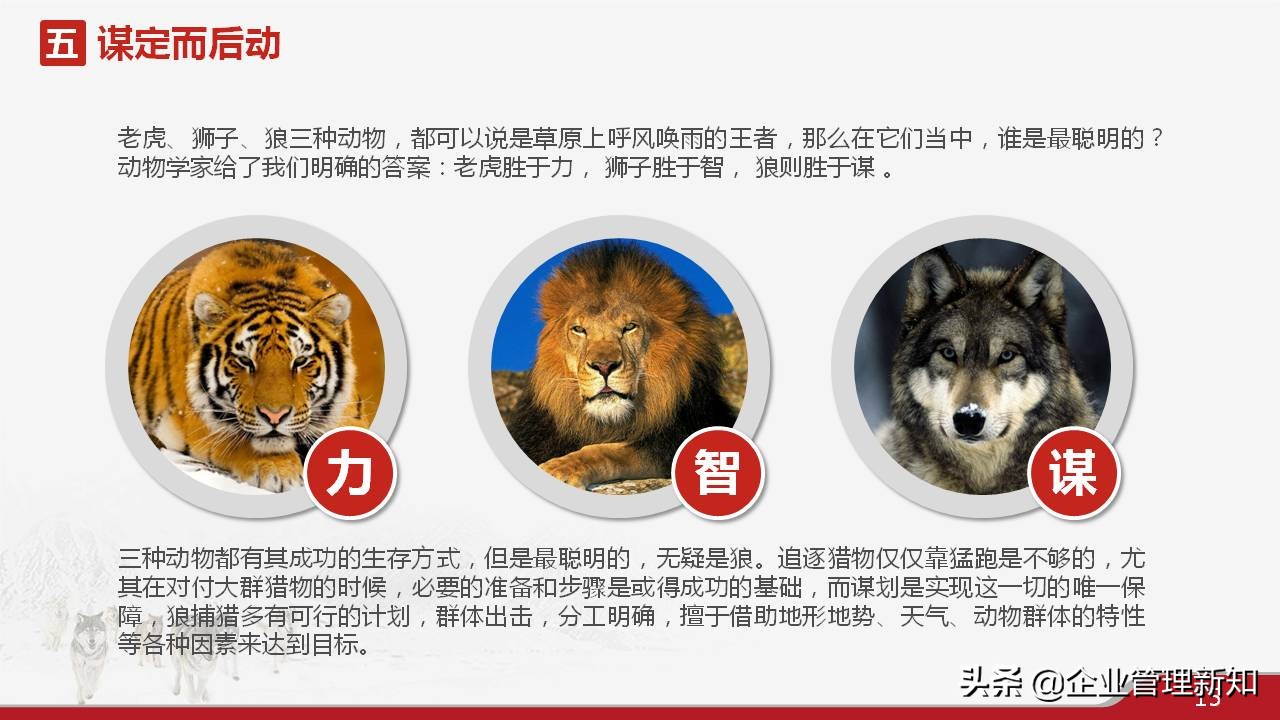 33页完整版，狼性文化与企业精神培训PPT，可直接用于员工培训